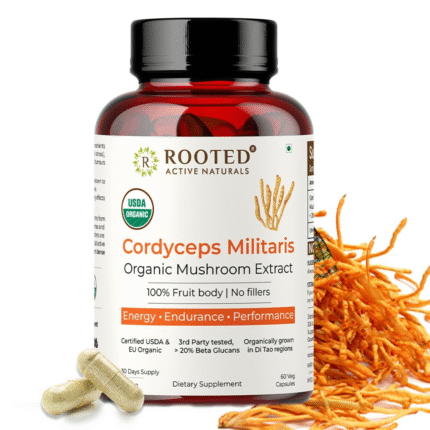 Rooted Active's Cordyceps Mushroom